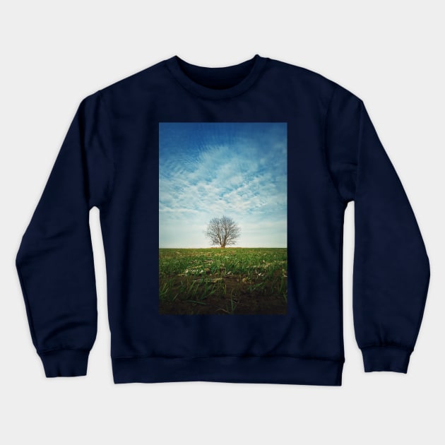 a tree in the spring field Crewneck Sweatshirt by psychoshadow